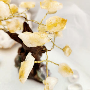 Rough Citrine Tree on Amethyst Cluster