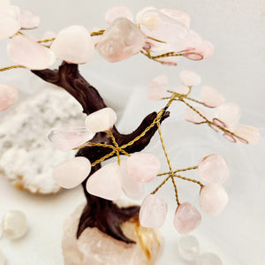 Rose Quartz Tree on Rose Quartz Base