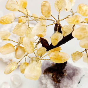 Citrine Tree on Amethyst Cluster