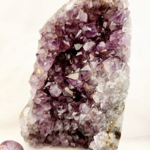 Amethyst Standing Cluster