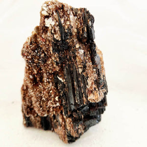 Black Tourmaline with Mica Rough Specimen