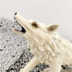 Wolf on Skull