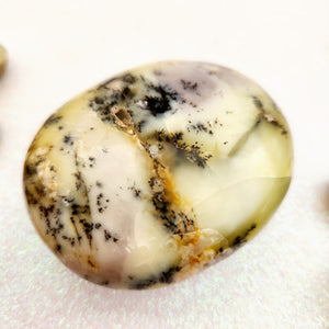 Dendritic Agate Palm Stone