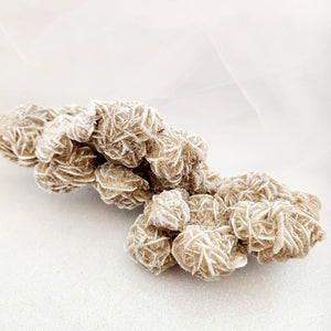 Desert Rose Cluster