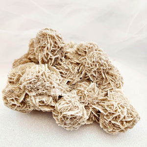 Desert Rose Cluster