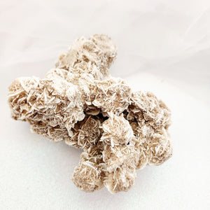 Desert Rose Cluster