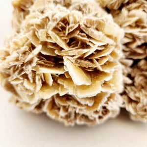 Desert Rose Cluster