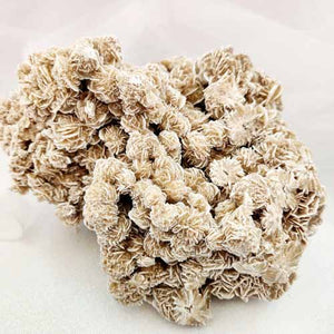 Desert Rose Cluster