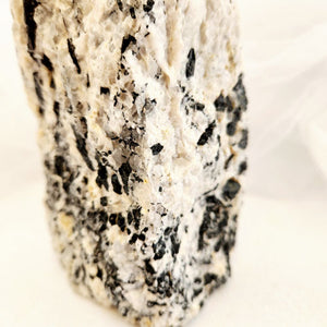 Black Tourmaline in Quartz Soap Dispenser