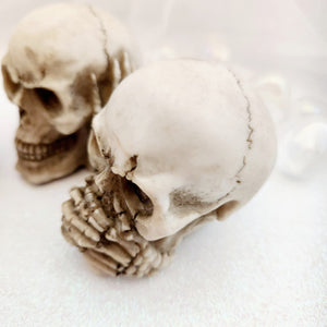 See, Hear, Speak No Evil Skull