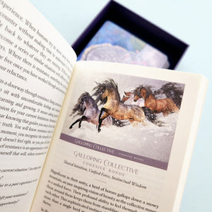 Oracle of the Sacred Horse Cards