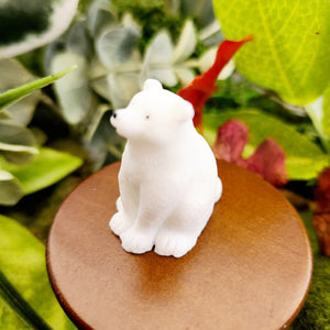 Tiny Sitting Polar Bear