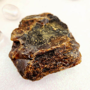 Amber Specimen from Indonesia