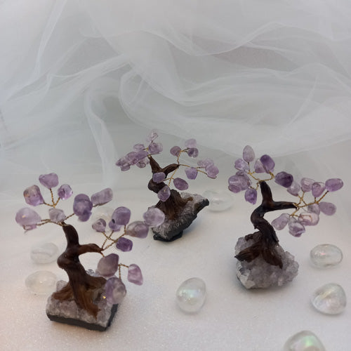 Amethyst Crystal Tree on Amethyst Cluster (assorted. approx. 8.9-10.3x8-9cm)