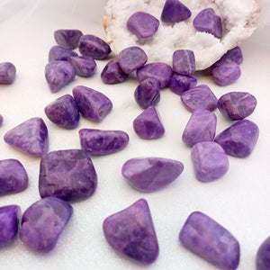 Purple Howlite Tumble