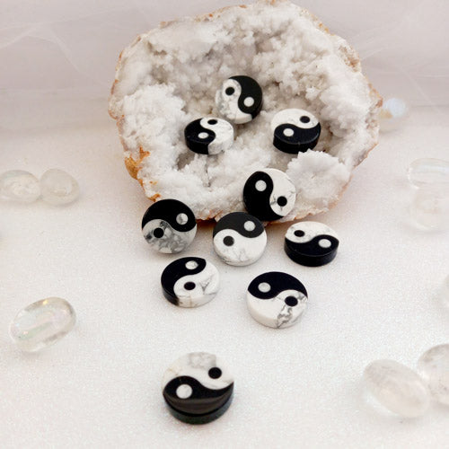 Yin Yang Howlite/Obsidian Disc (assorted. approx. 2.5cm diameter)