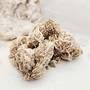 Desert Rose Cluster