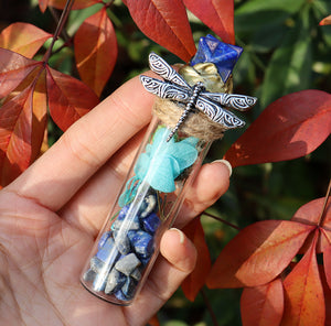 Lapis Merkaba & Lapis Chips In Dragonfly Embellished Bottle (assorted. approx. 9.5cm)