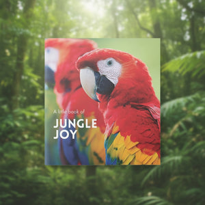 A Little Book of Jungle Joy | Affirmations