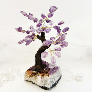 Amethyst Crystal Tree on Amethyst Cluster