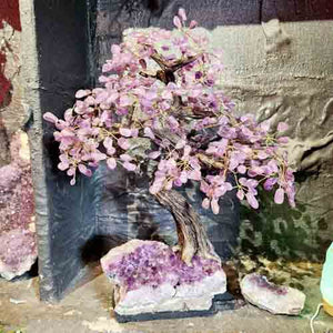 Amethyst Tree on Amethyst Cluster Base