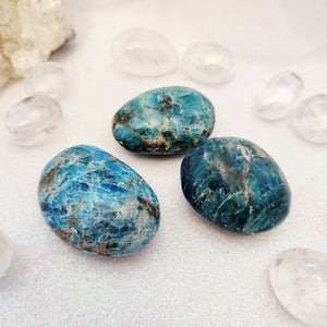 Apatite Palm Stone