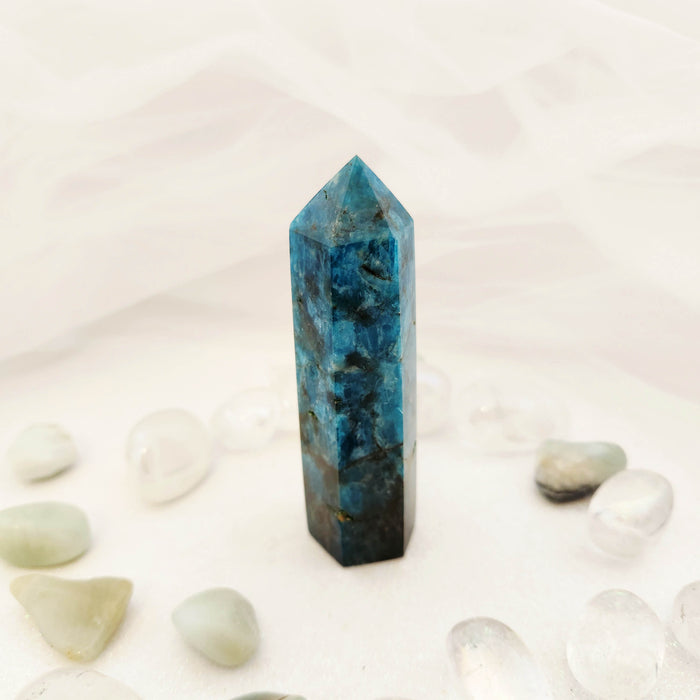 Apatite Polished Point (assorted. approx. 9x2.7cm)