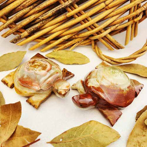 Banded Calcite aka Marble Onyx Turtle