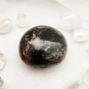 Smooth black moonstone palm stone with dark tones and rounded shape