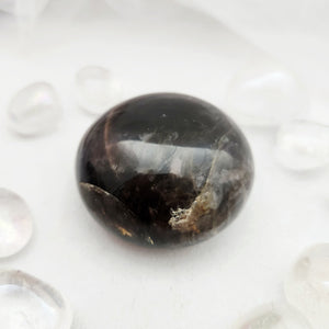 Smooth black moonstone palm stone with dark brown, glossy tones