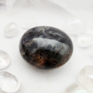 Smooth black moonstone palm stone with dark tones and a soft sheen