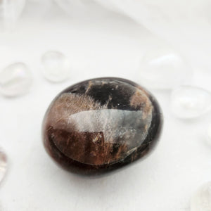 Smooth black moonstone palm stone with dark brown and grey tones