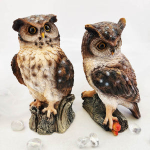 Brown Owl Perched on  Branch