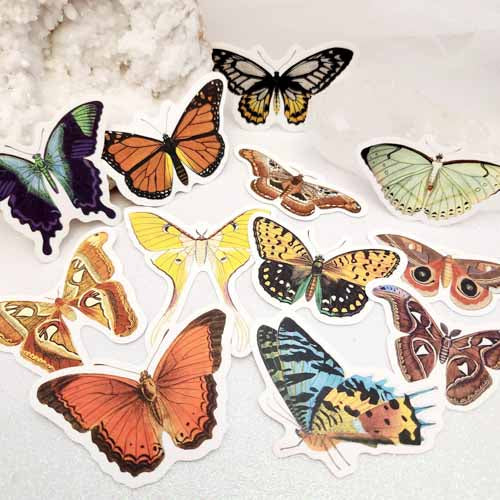 Butterfly Self Adhesive Sticker (assorted designs)