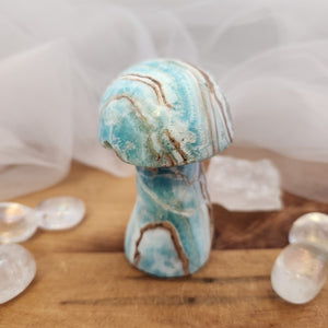 Caribbean Calcite Mushroom