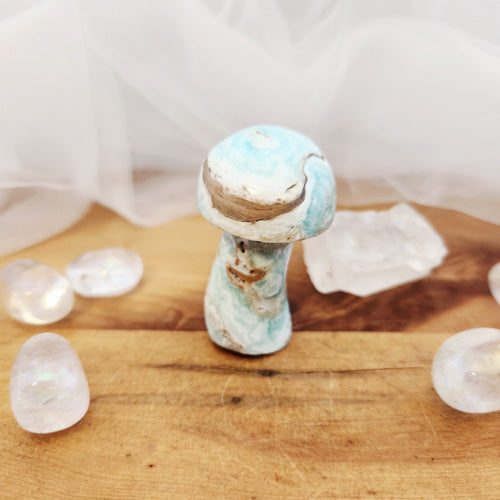 Caribbean Calcite Mushroom (approx. 5.5x3.3cm)