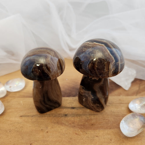 Chocolate Calcite Mushroom (assorted. approx. 6.4-6.9x3.8-4.4cm)
