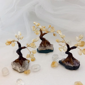 Citrine Crystal Tree on Amethyst Cluster