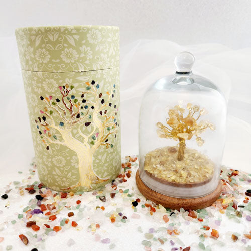 Citrine Crystal Wish Tree in Glass Dome w. Beautiful Box  (approx. 12x8cm)