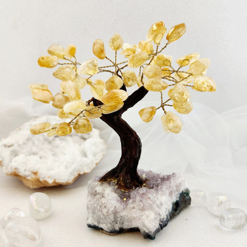 Citrine Tree on Amethyst Cluster (approx. 16.5x14.5cm)