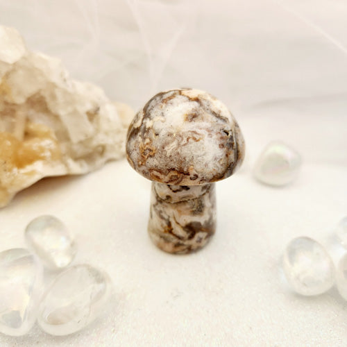 Crazy Lace Agate Mushroom (approx. 6.2x4.2cm)