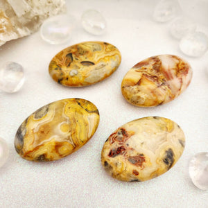 Crazy Lace Agate Palm Stone