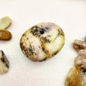 Dendritic Agate Palm Stone