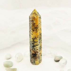 Dendritic Agate Polished Point