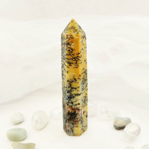 Dendritic Agate Polished Point