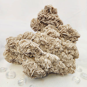 Desert Rose Cluster