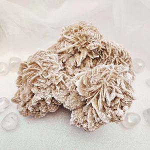 Desert Rose Cluster