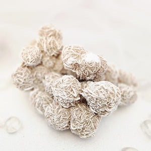 Desert Rose Cluster
