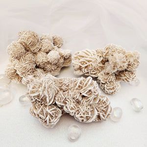 Desert Rose Cluster 