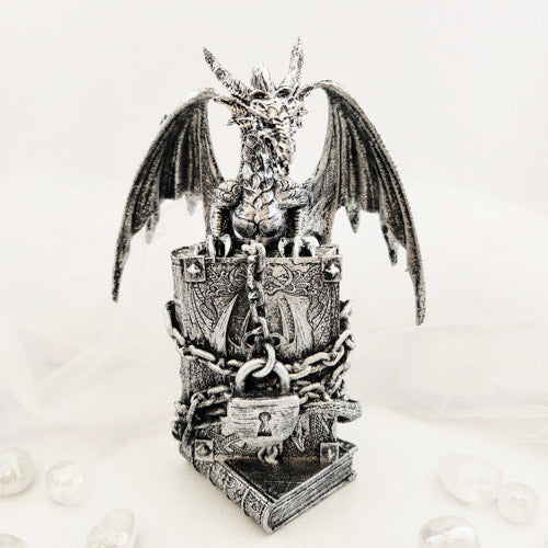 Dragon Guarding Book (approx. 21x16cm)